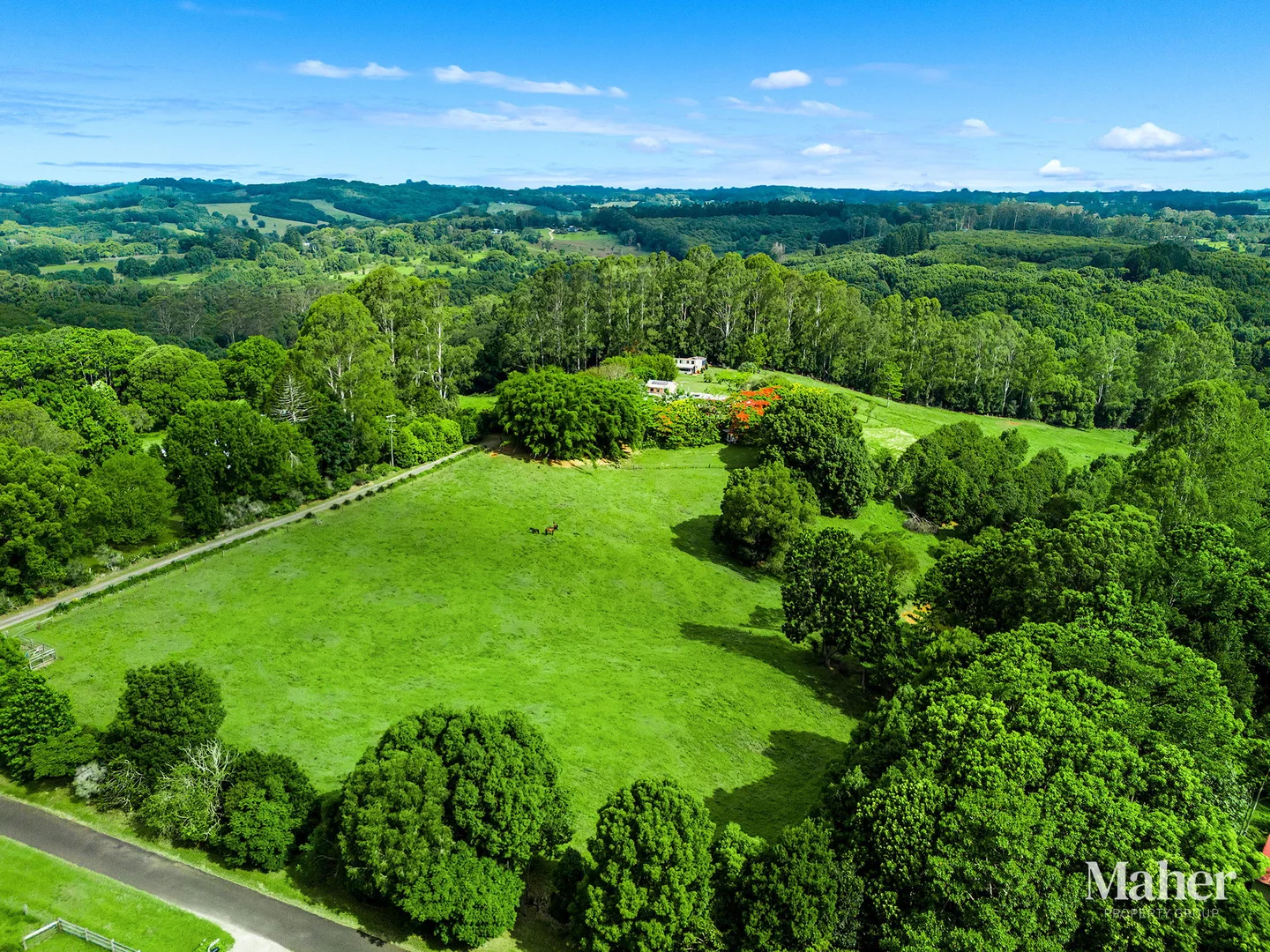 Additional image 36 of 141 Pearson Road, Eltham NSW 2480