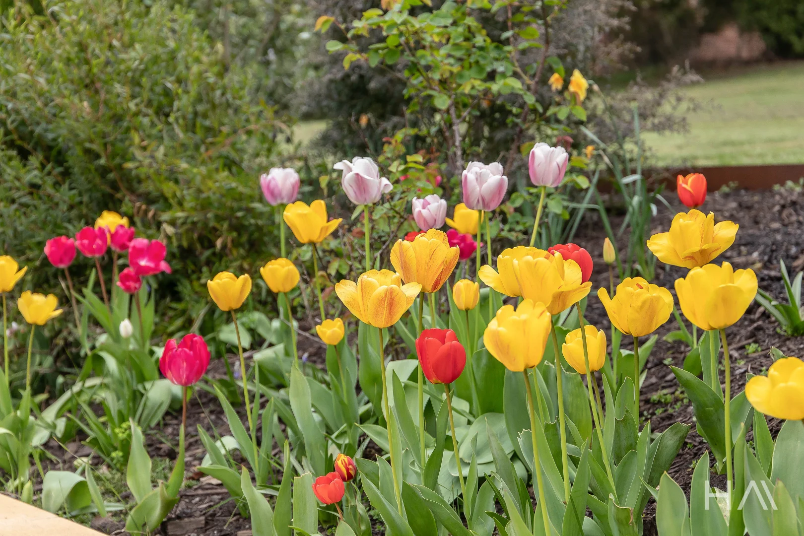 Additional image 21 of 94 Nobelius Drive, Legana TAS 7277