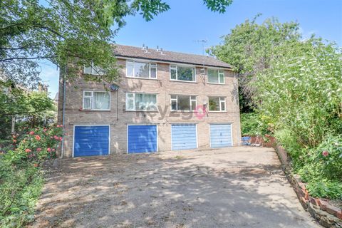 Fitzwalter Road, Sheffield S2