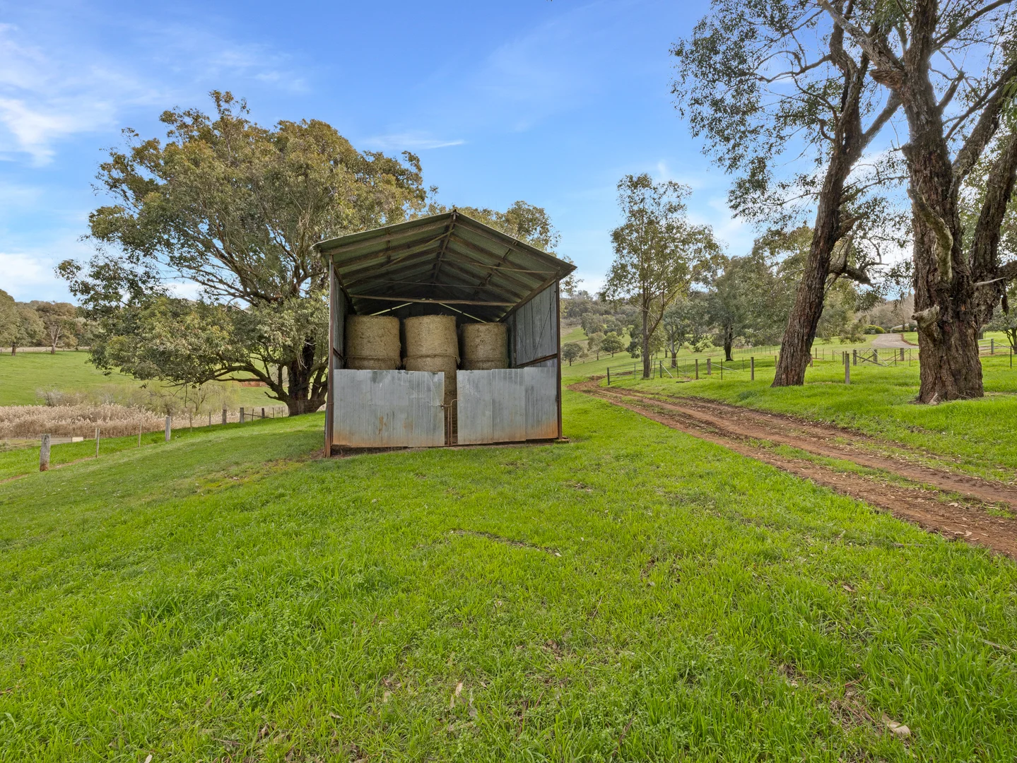 Additional image 30 of 1694 Boggy Creek Road, Myrrhee VIC 3732