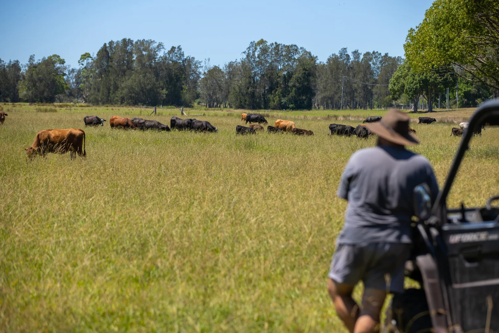 Additional image 24 of 79, 81 & 249 Elliots Road, Nabiac NSW 2312