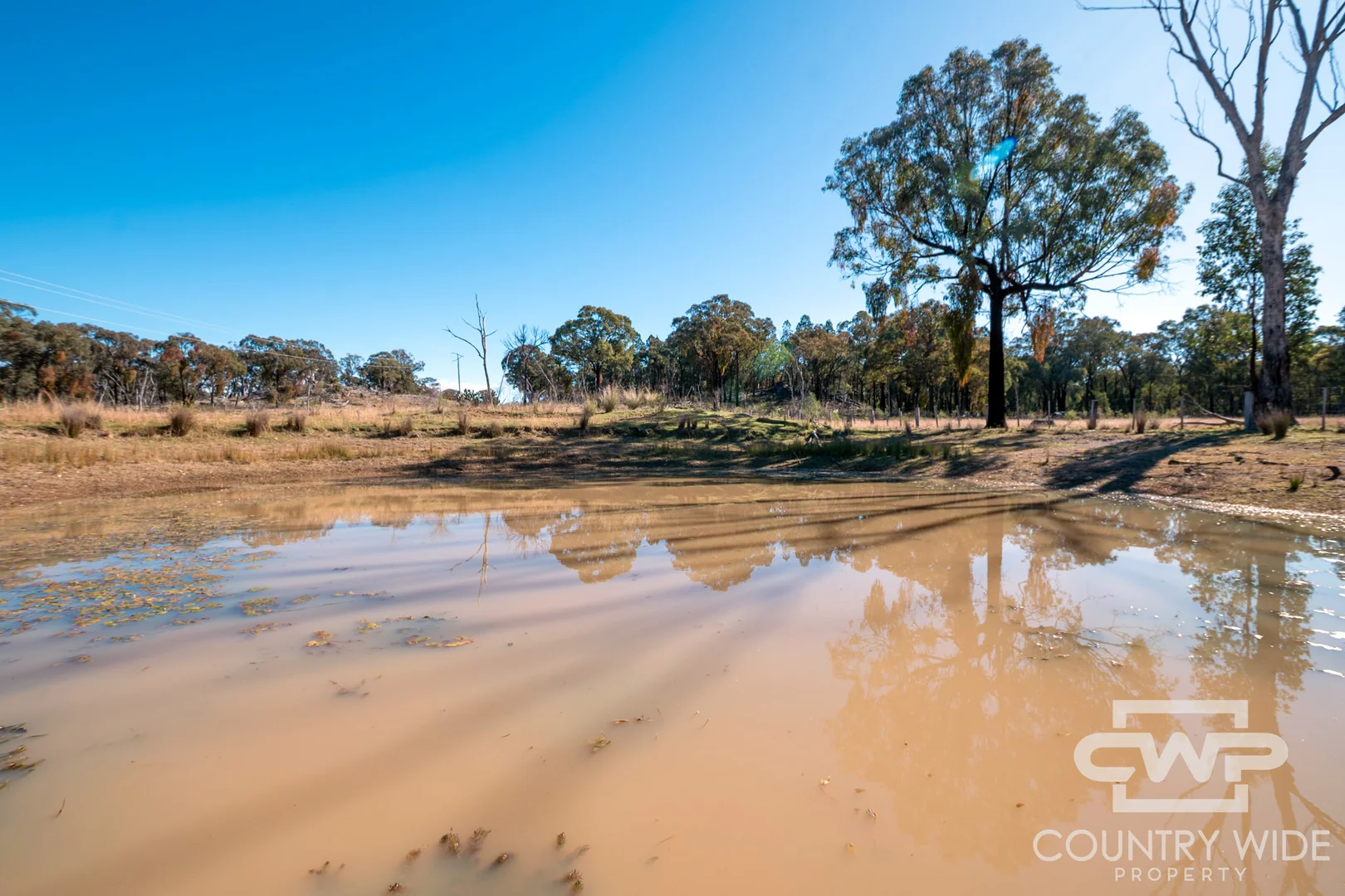 Additional image 14 of 8, - Emmaville Road, Emmaville NSW 2371