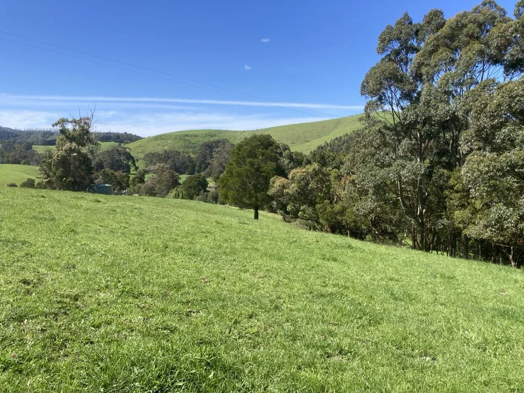 Additional image 8 of 465 Woomera Creek Rd, Toora North VIC 3962