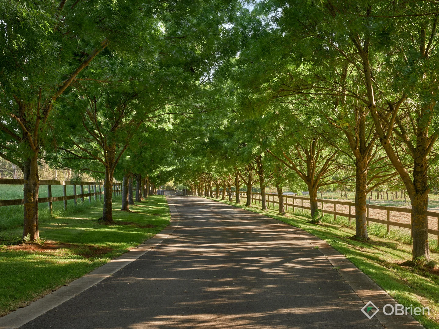 Additional image 33 of 340 Warragul-Lardner Road, Warragul VIC 3820