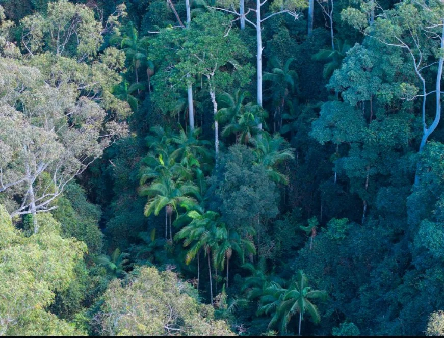 Additional image 8 of Lot 6/400 Bellthorpe West Road, Bellthorpe QLD 4514