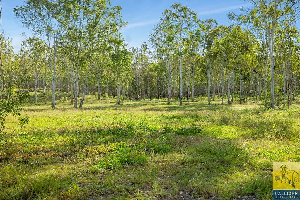 Additional image 27 of 400 Wildman Road, Iveragh QLD 4680