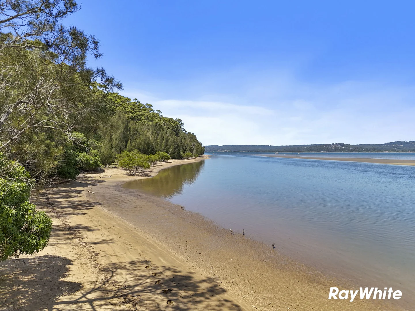 Additional image 8 of 101 Courtenay Crescent, Long Beach NSW 2536