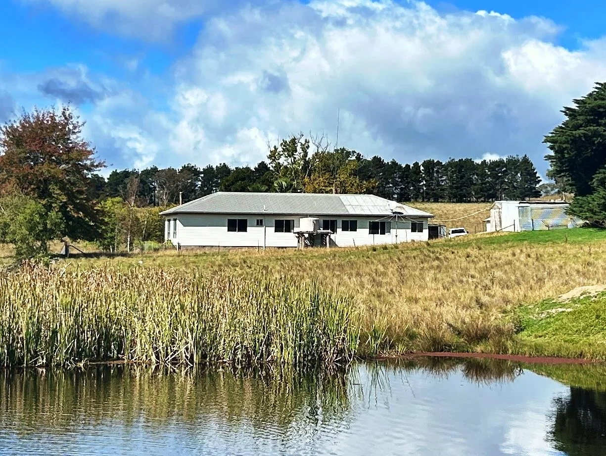 Additional image 10 of 1815 Hillview Road, Uralla NSW 2358