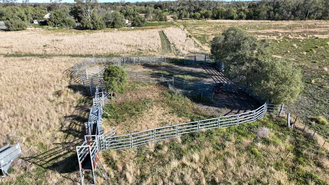 Additional image 19 of "FOREST VALE", Gurley NSW 2398