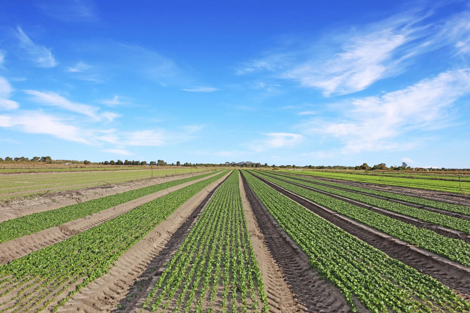 Additional image 15 of 690 Aitkens Road, Bengworden VIC 3875