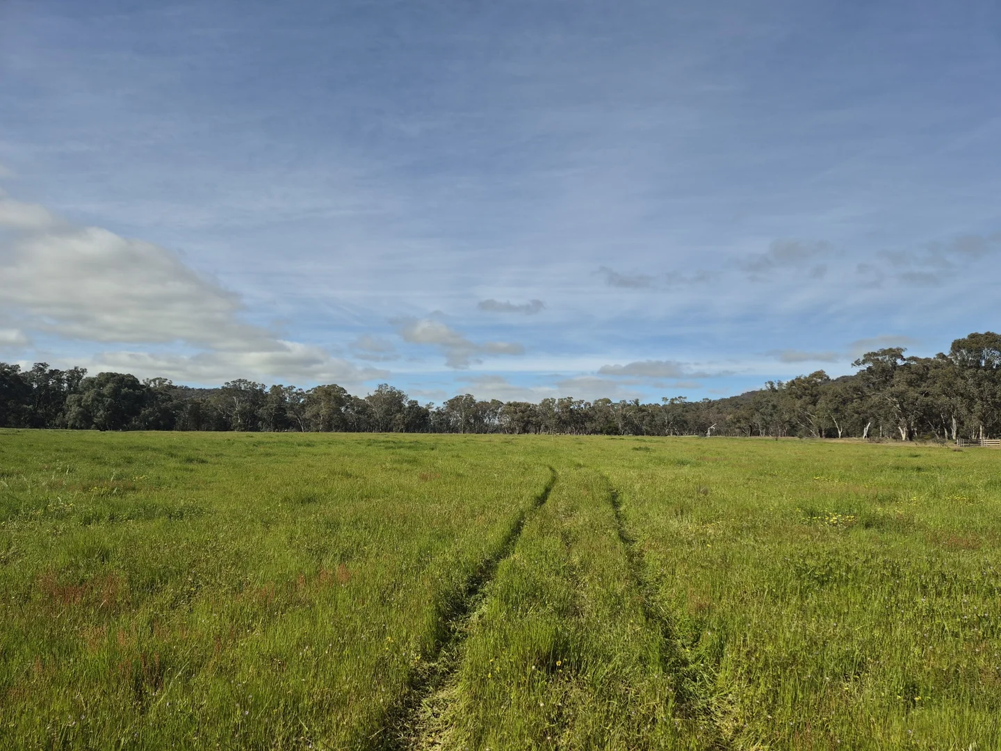 Additional image 37 of 50 Ramage Road, Violet Town VIC 3669