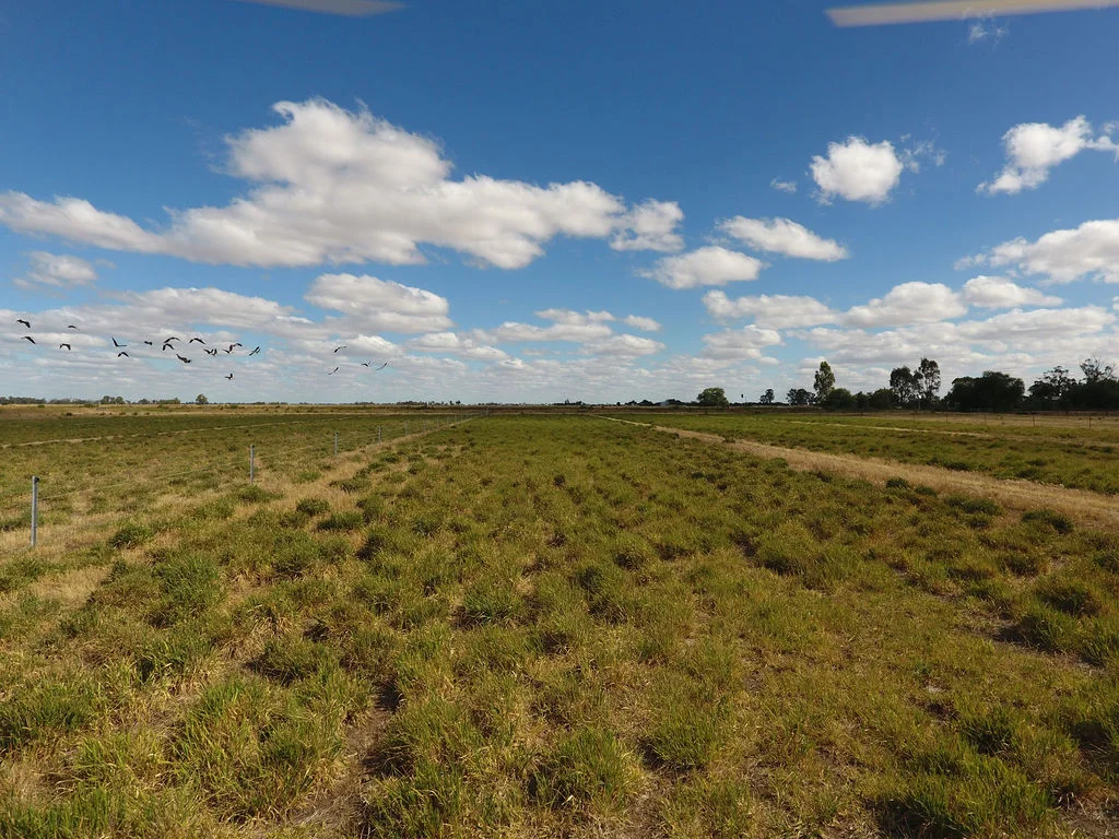 Additional image 17 of 1321 Koondrook Murrabit Road, Myall VIC 3579