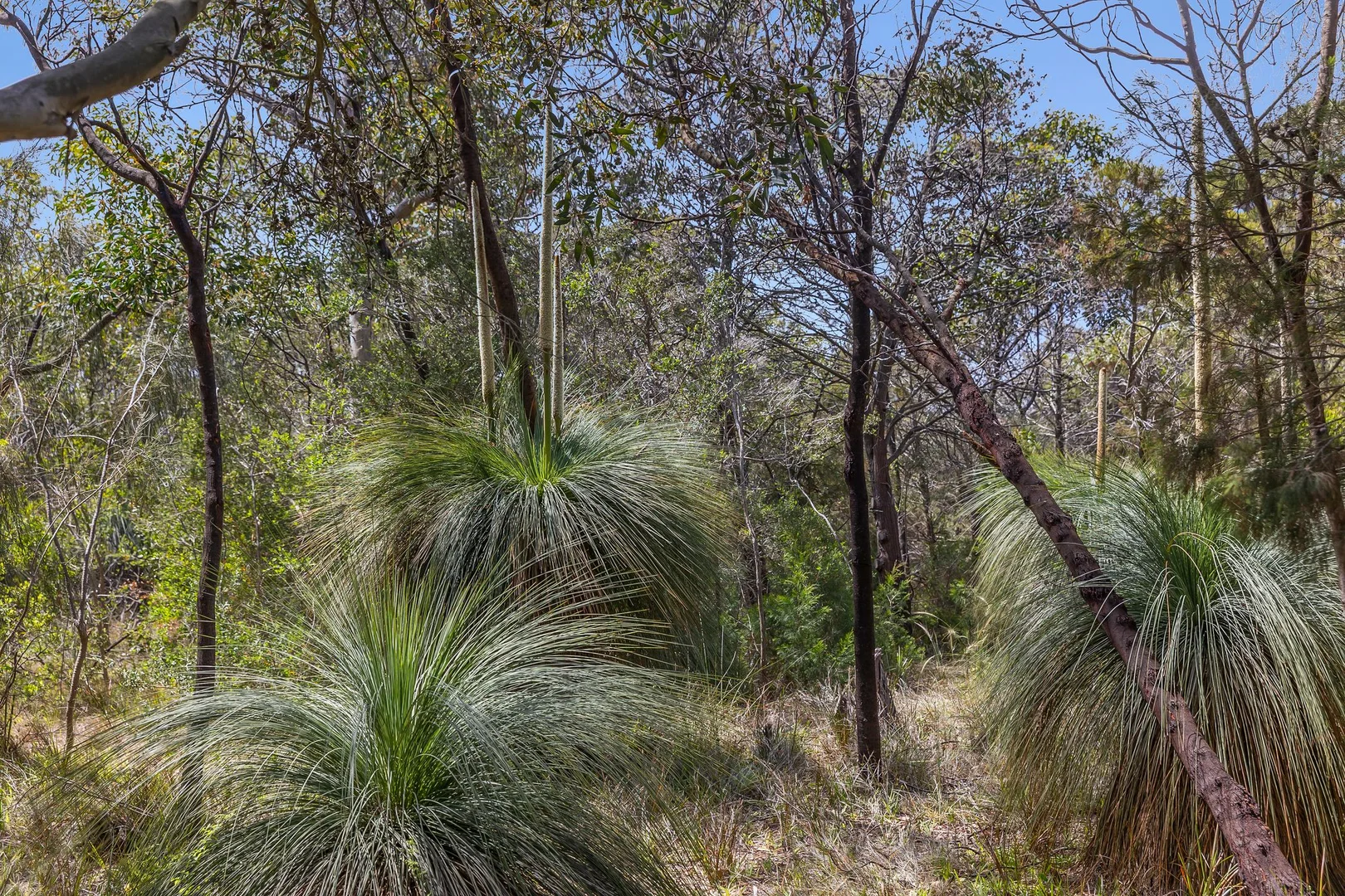 Additional image 29 of 57-73 Glaneuse Road, Point Lonsdale VIC 3225