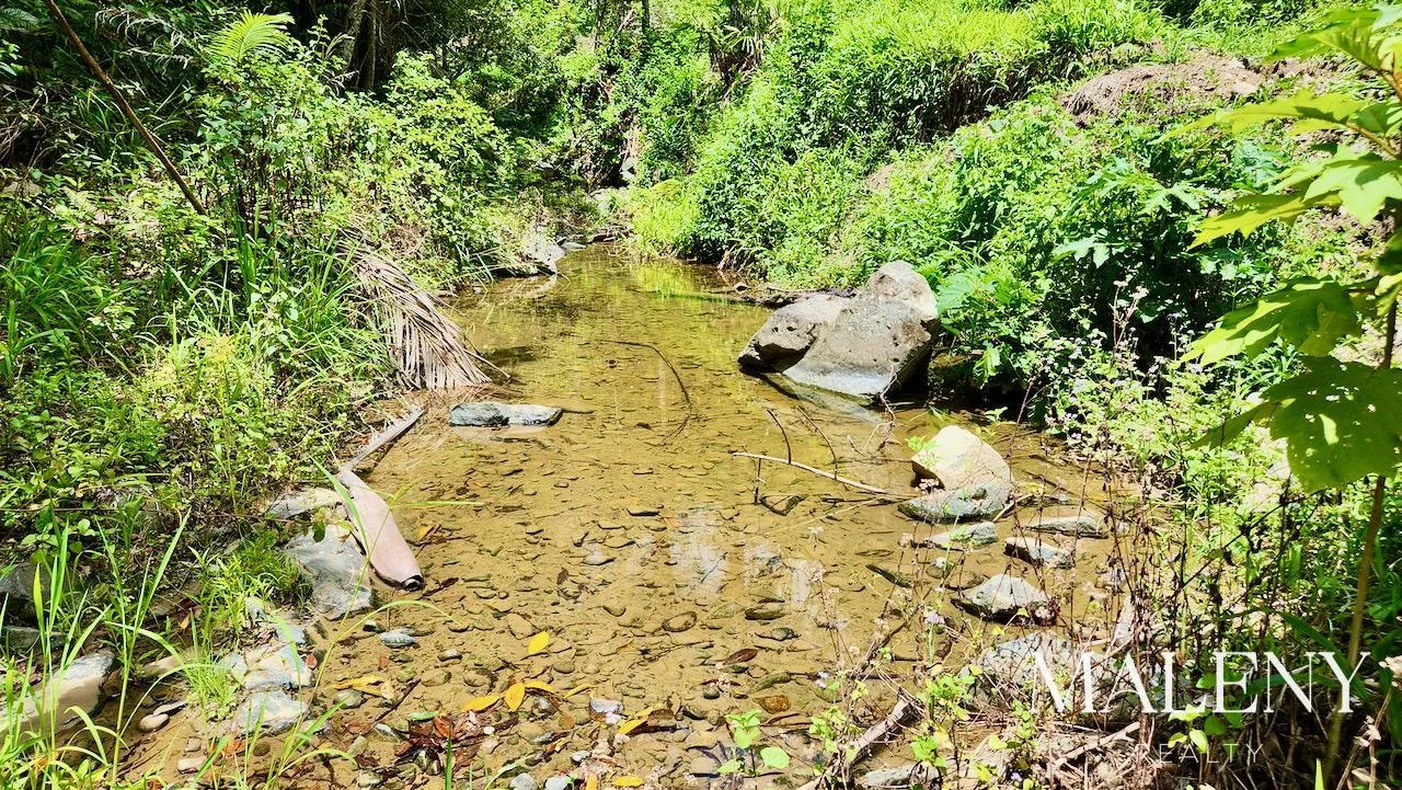 Additional image 21 of 97-155 Doyle Road, Wootha QLD 4552