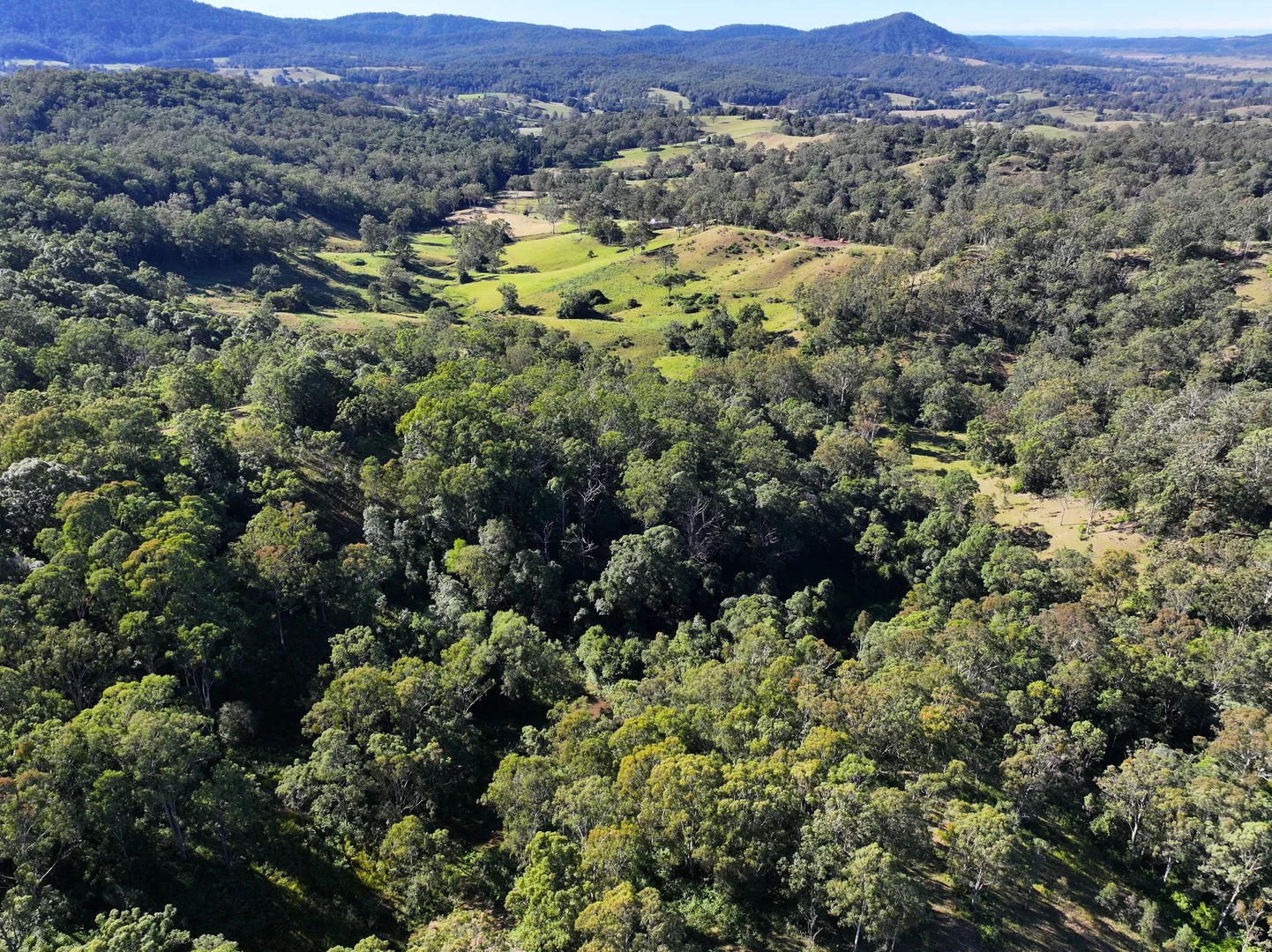 Additional image 11 of 2425 Pine Creek Rd, Lismore NSW 2480