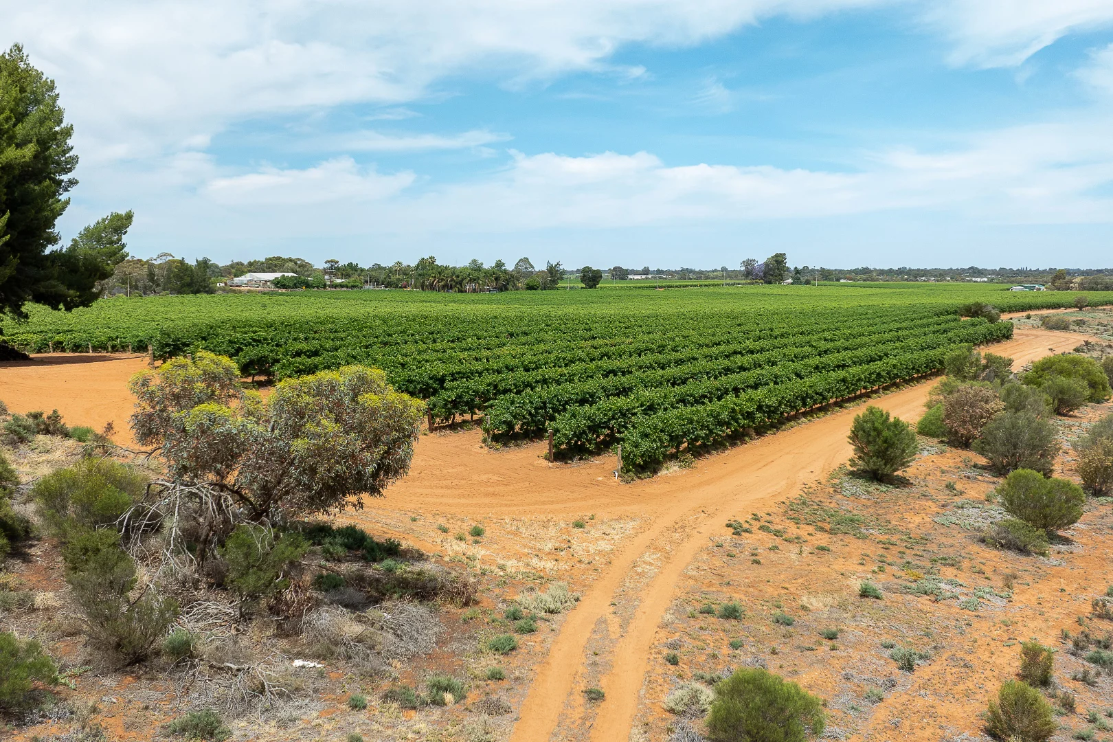 Additional image 4 of Lot 11 Battams Road, Glossop SA 5344