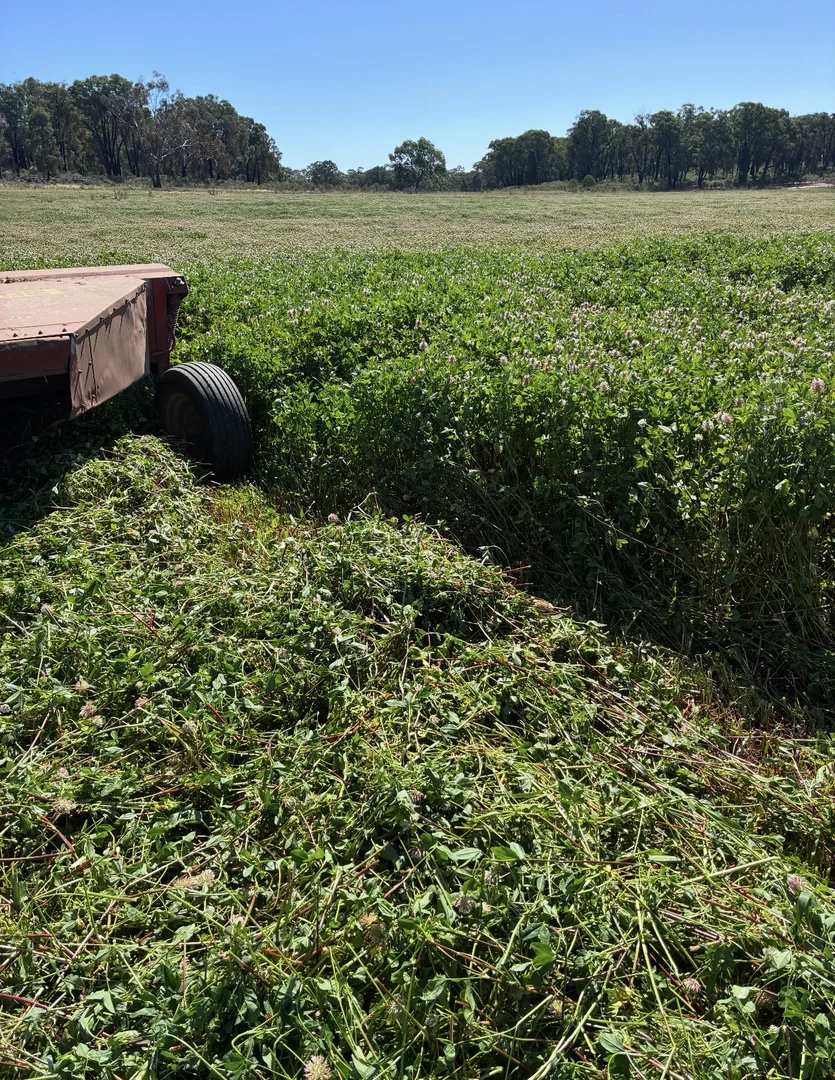 Additional image 17 of 2824 Neilrex Road, Neilrex NSW 2831