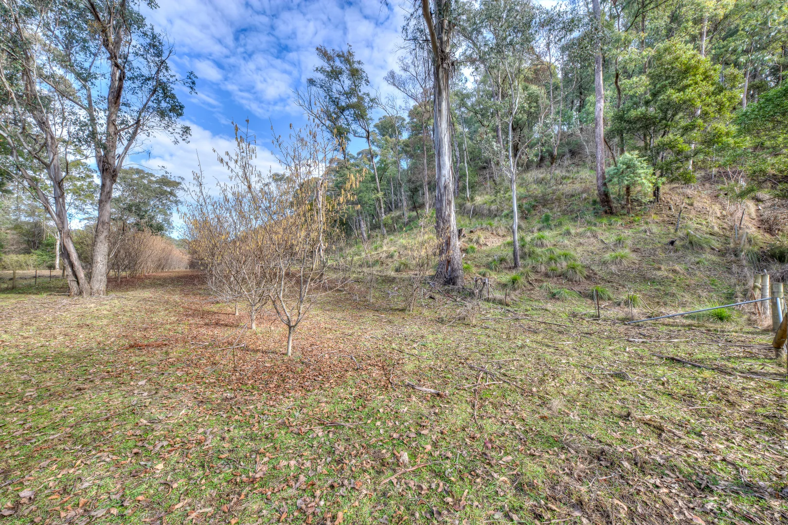 Additional image 5 of 828 Morses Creek Road, Wandiligong VIC 3744