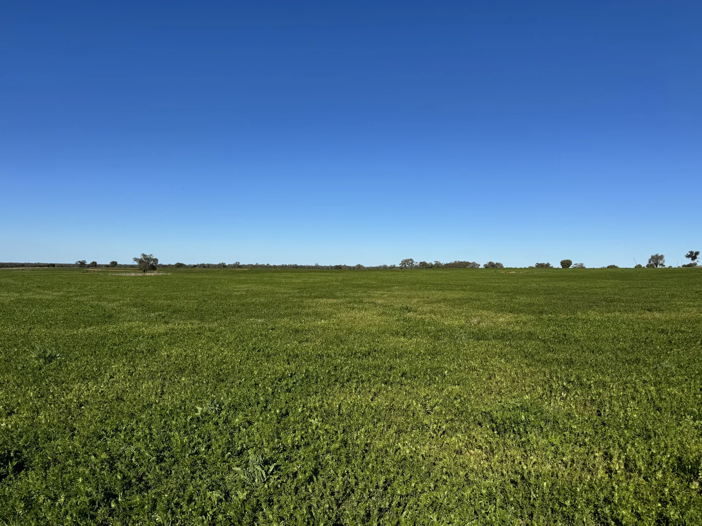 Additional image 18 of 2823 Hermidale Nymagee Road, Hermidale NSW 2831