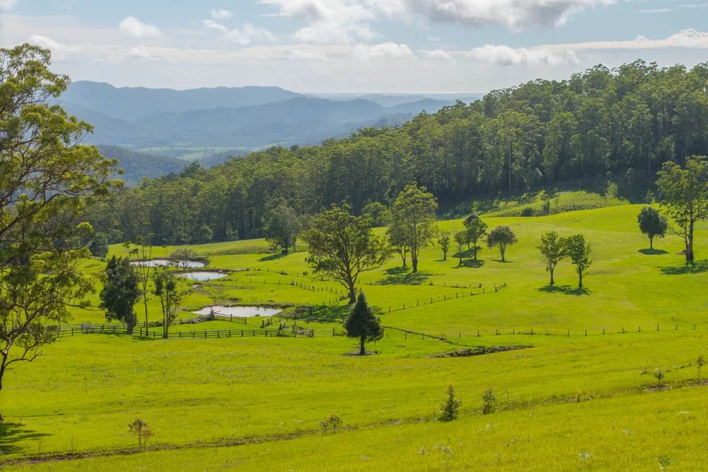 Additional image 18 of 669 Costigans Road, Yarras NSW 2446