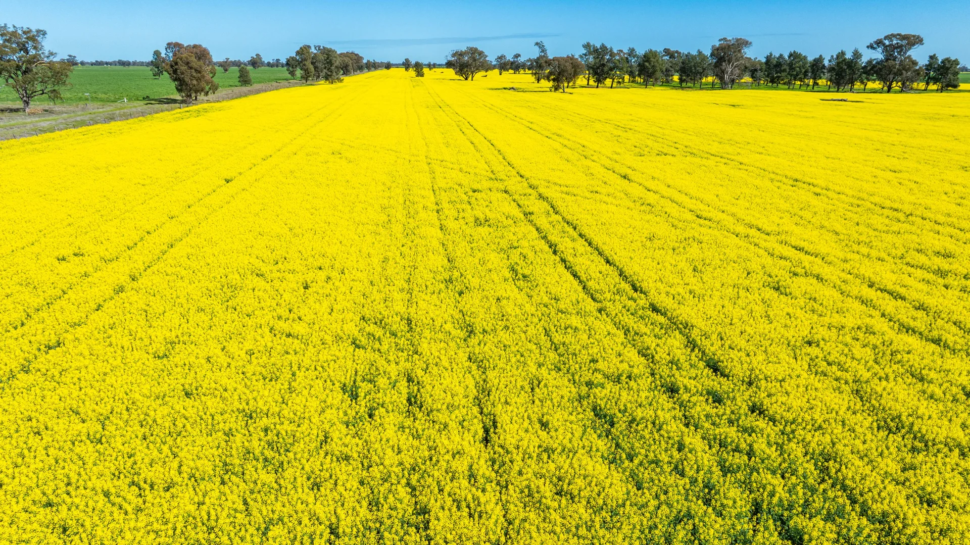 Additional image 3 of 153 Balldale-Coreen Road, Corowa NSW 2646