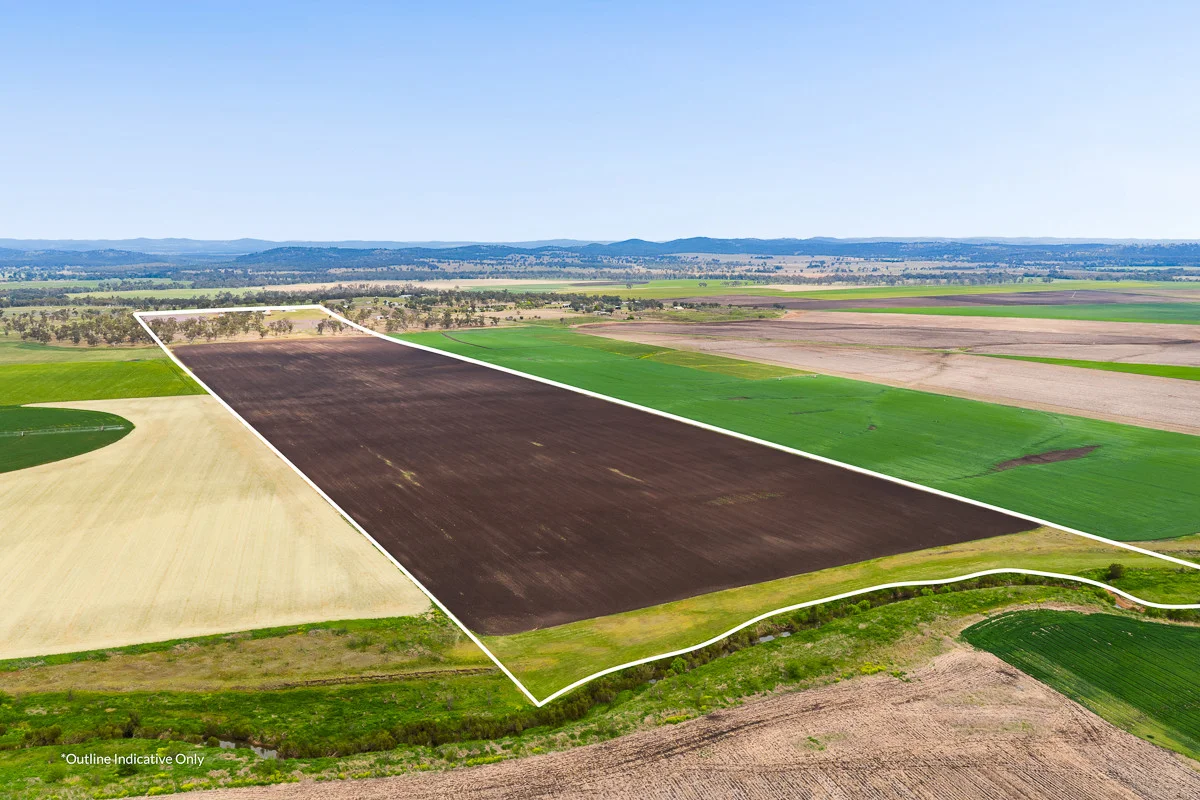 Additional image 28 of 240 Massie Bony Mountain Road, Massie QLD 4370