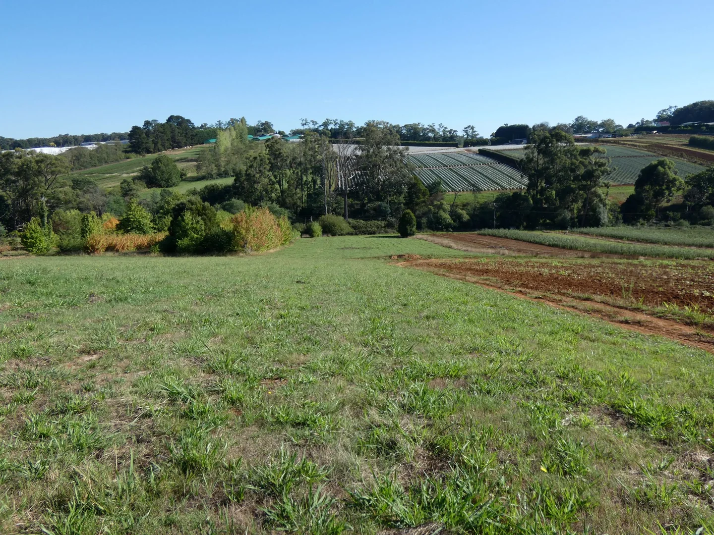 Additional image 3 of Lot 1/95 Macclesfield Road, Monbulk VIC 3793