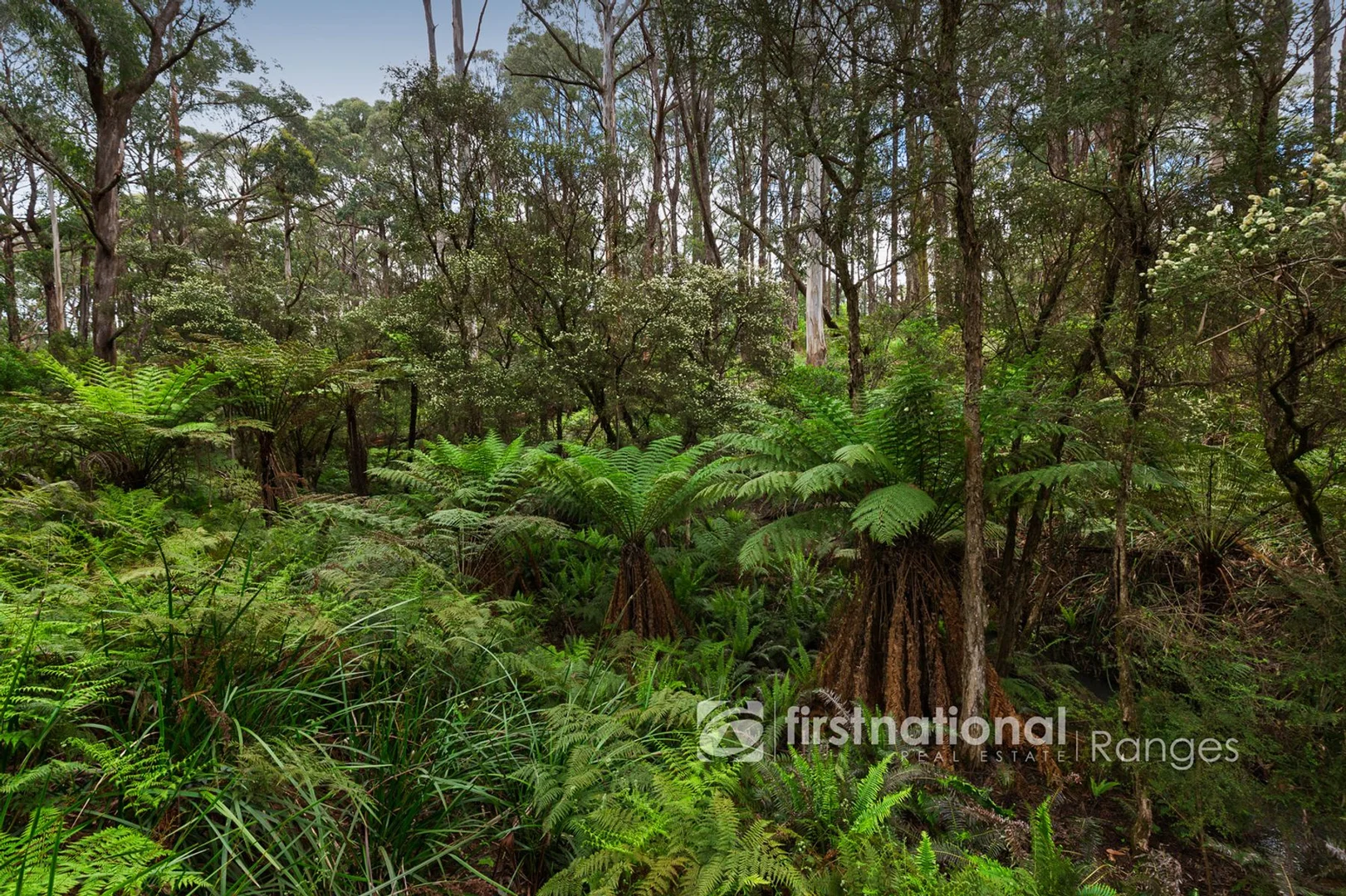 Additional image 17 of 171 Stewart Road, Emerald VIC 3782