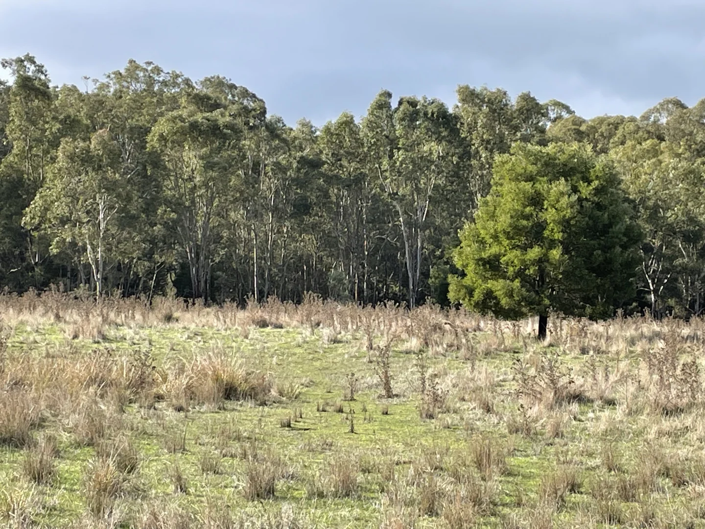 Additional image 6 of Dartmoor-Hamilton Road, Dartmoor VIC 3304