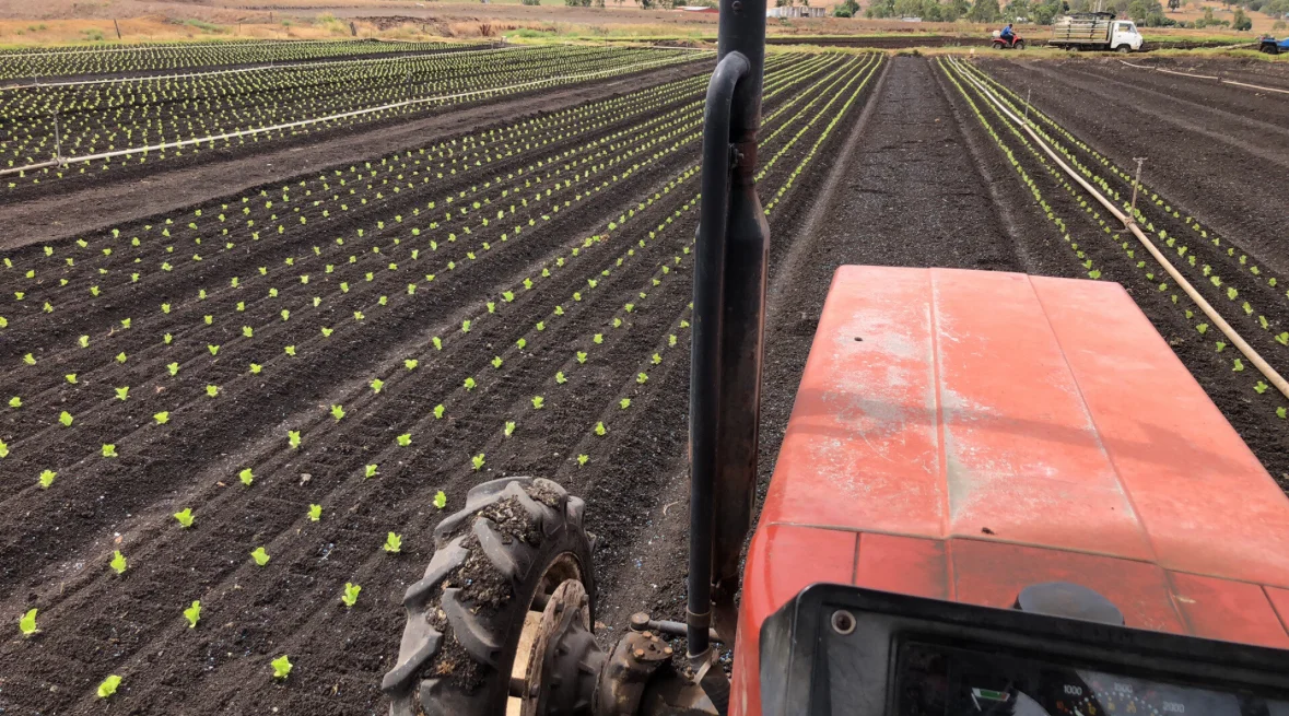 Additional image 13 of "Westview" 189 Toowoomba-Karara Road, Finnie QLD 4350