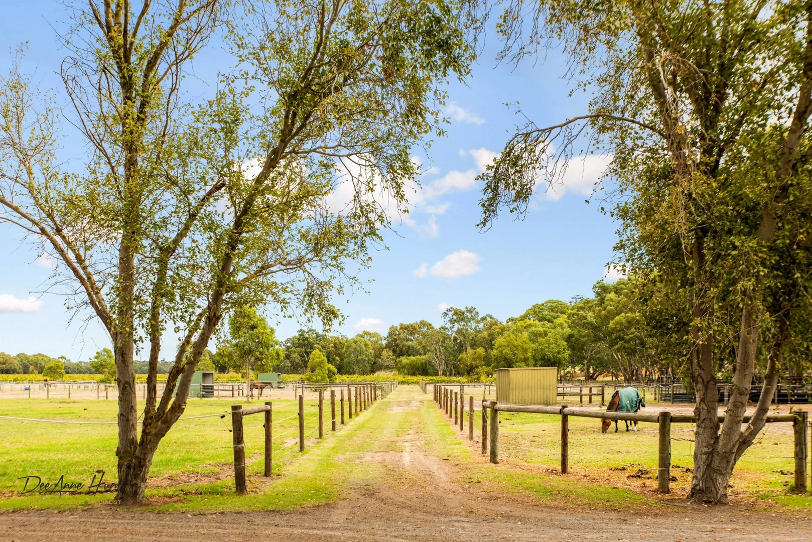 Additional image 27 of 328 Chalk Hill Road, McLaren Vale SA 5171
