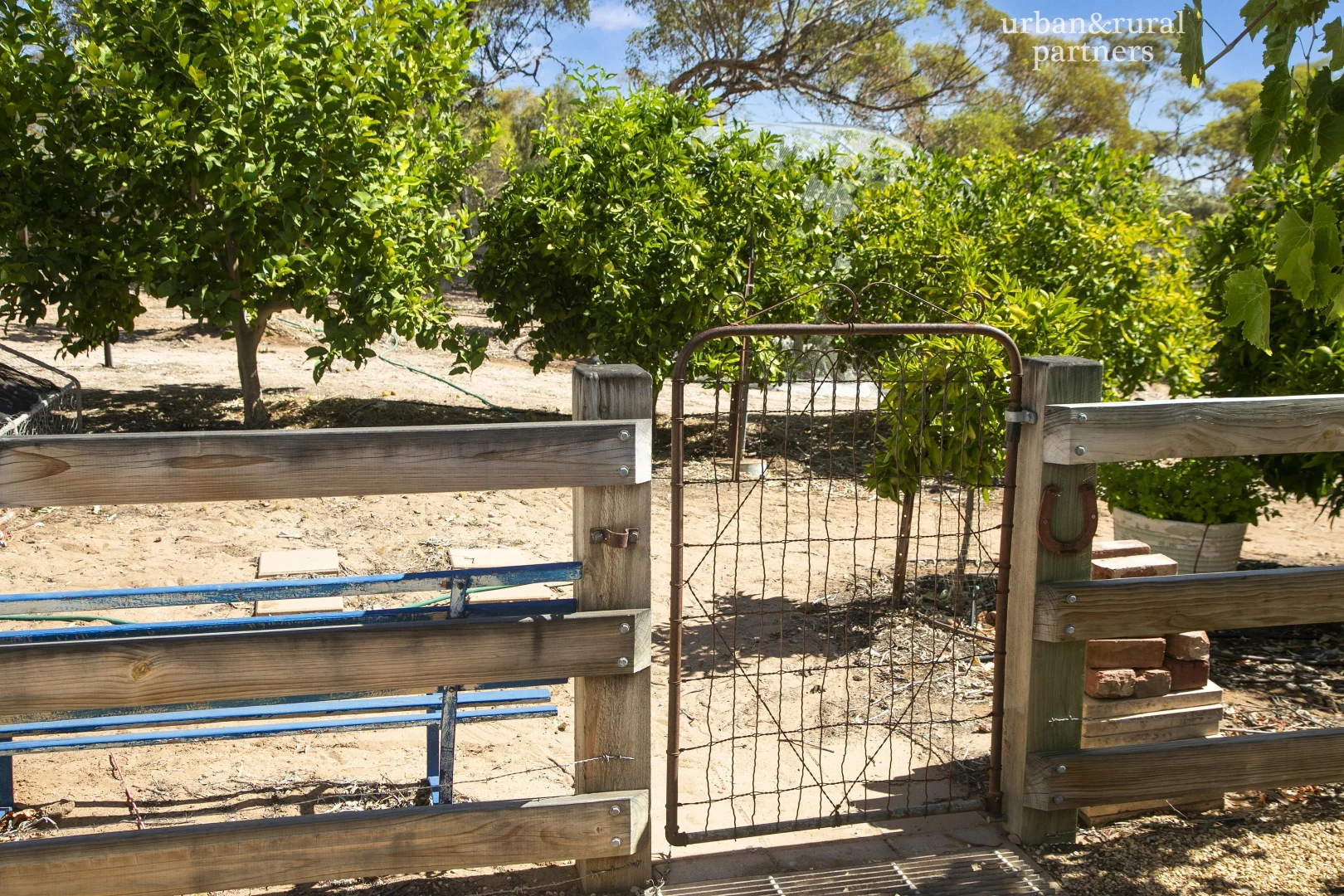 Additional image 10 of 162 Old Murbko Road, Morgan SA 5320