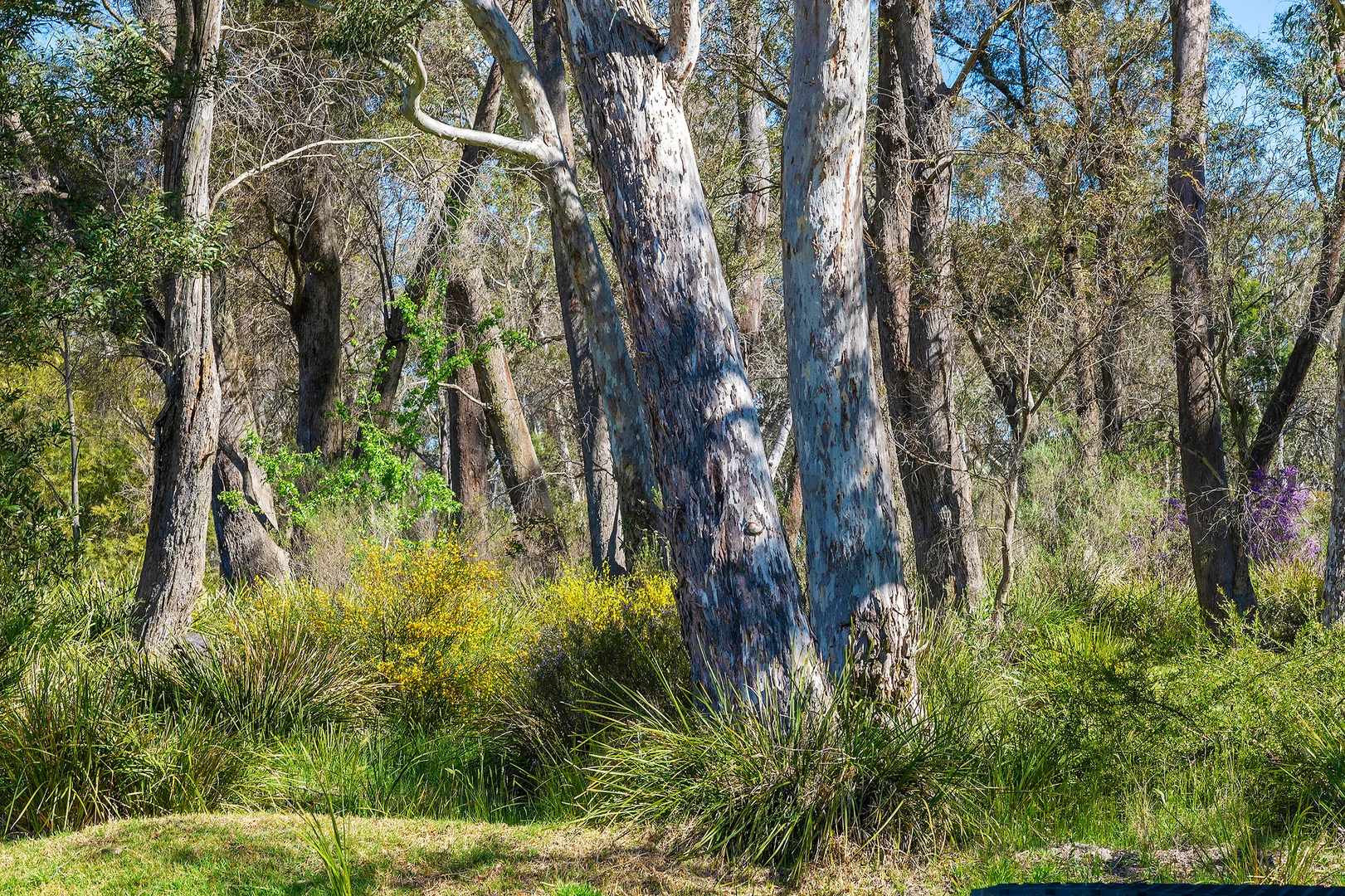 Additional image 28 of 630 Wombeyan Caves Road, High Range NSW 2575