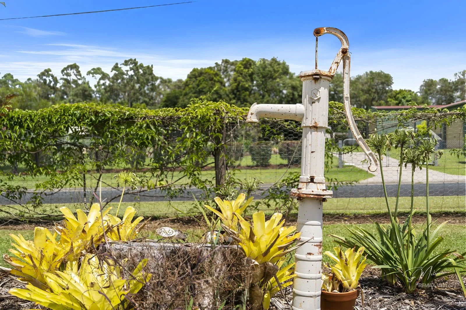 Additional image 28 of 39-43 Koppen Drive, Wamuran QLD 4512