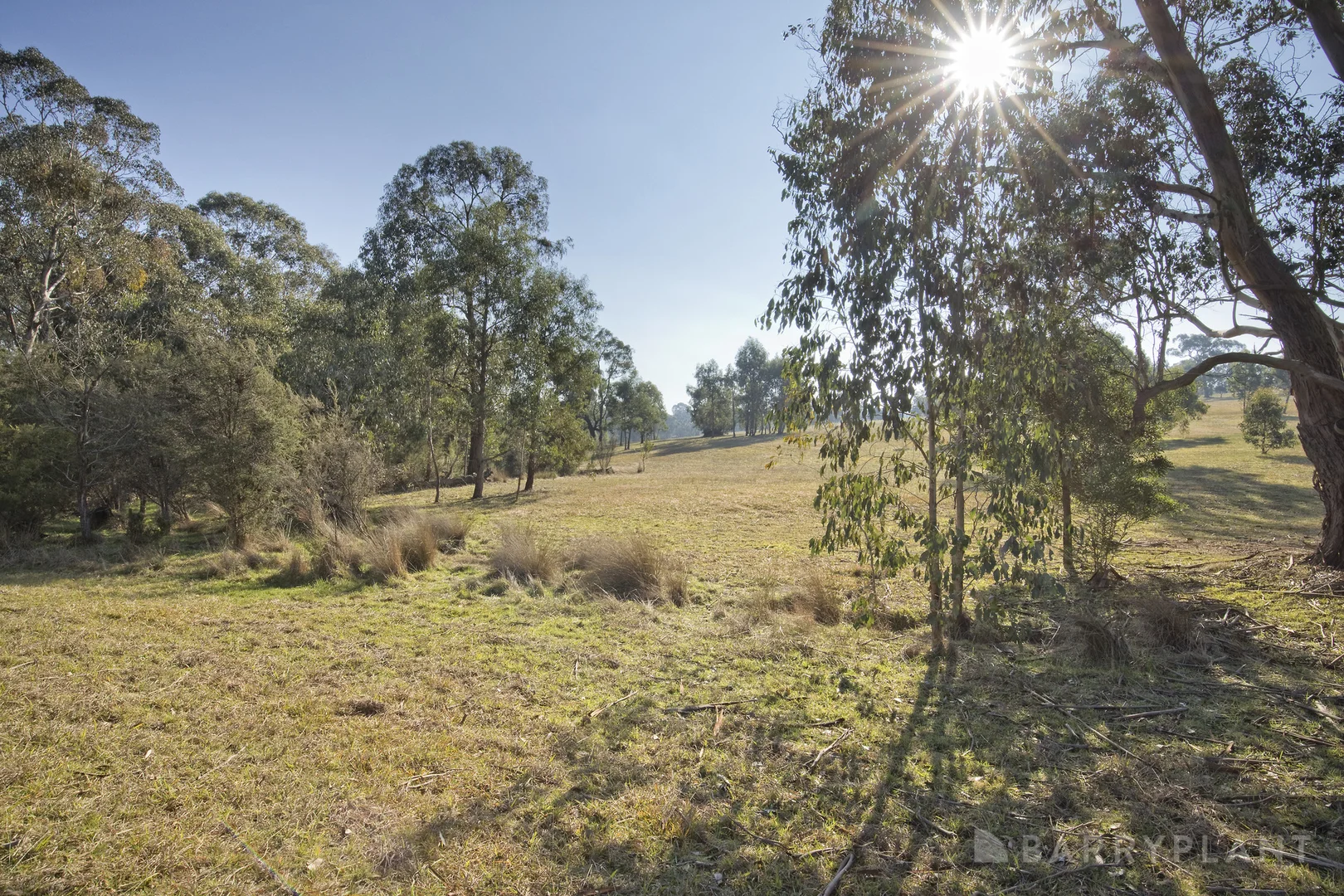 Additional image 12 of 450 Sheepstation Creek Road, Yellingbo VIC 3139