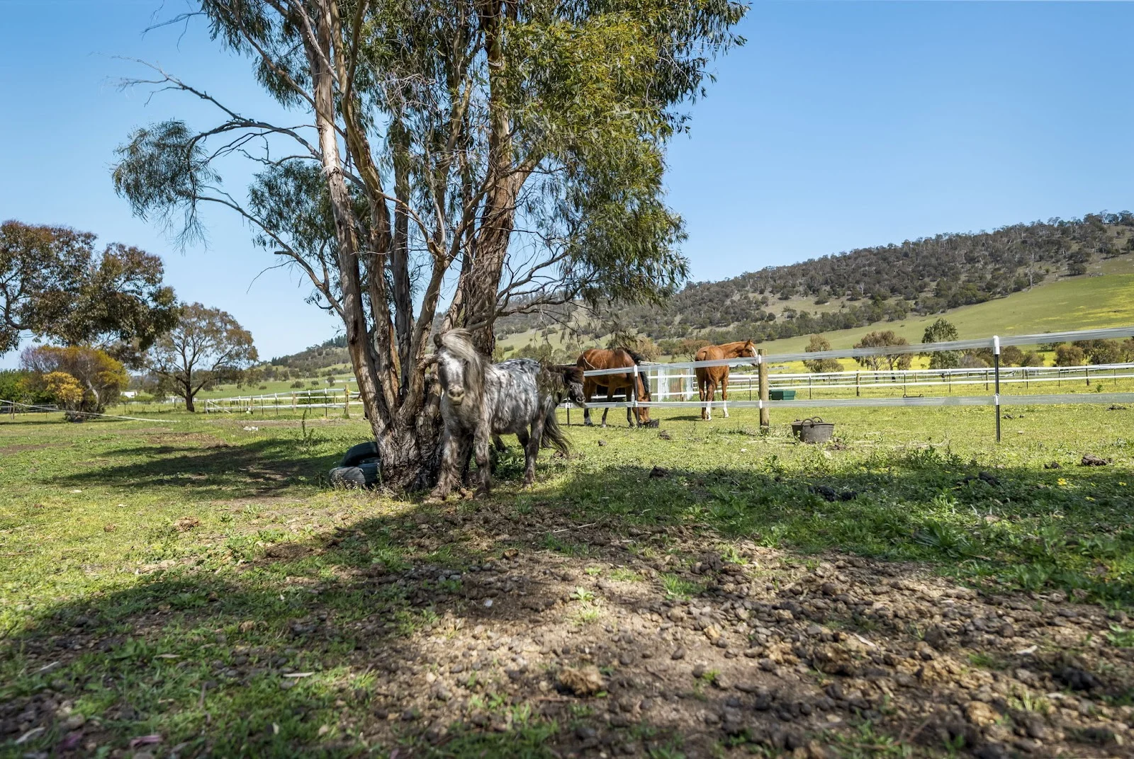 Additional image 22 of 1455 Midland Highway, Bagdad TAS 7030