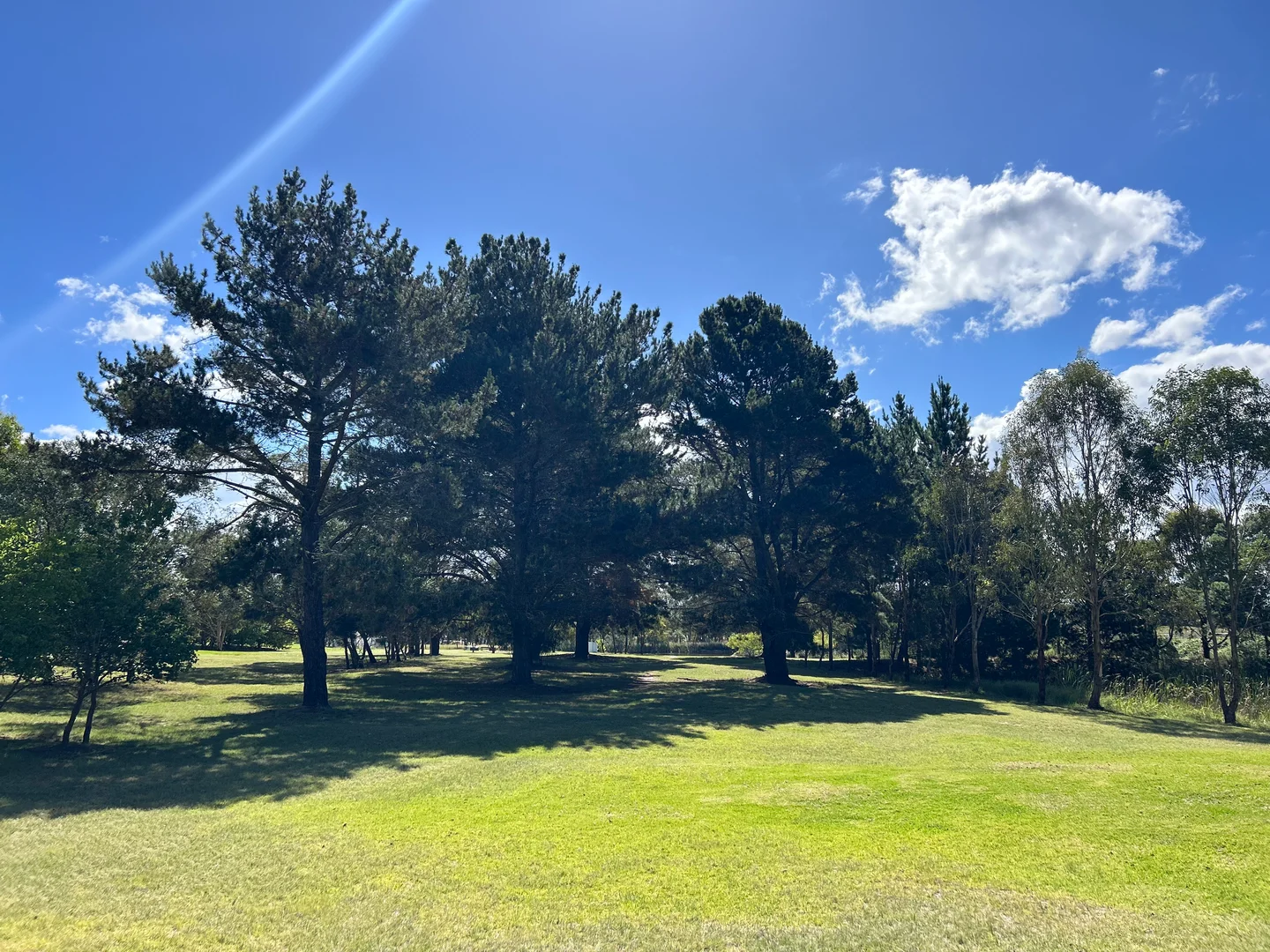 Additional image 30 of 249 Granite Belt Dve, Thulimbah QLD 4376