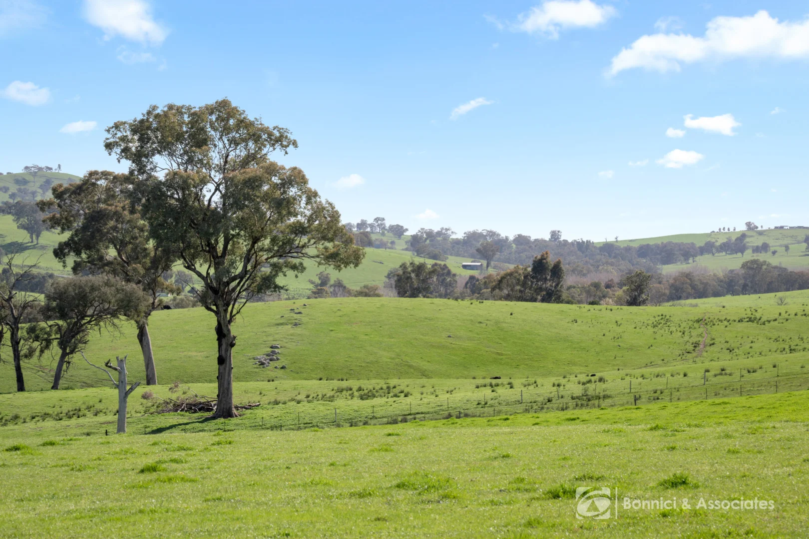 Additional image 2 of BARTLETTS Springdale Road, Bethanga VIC 3691