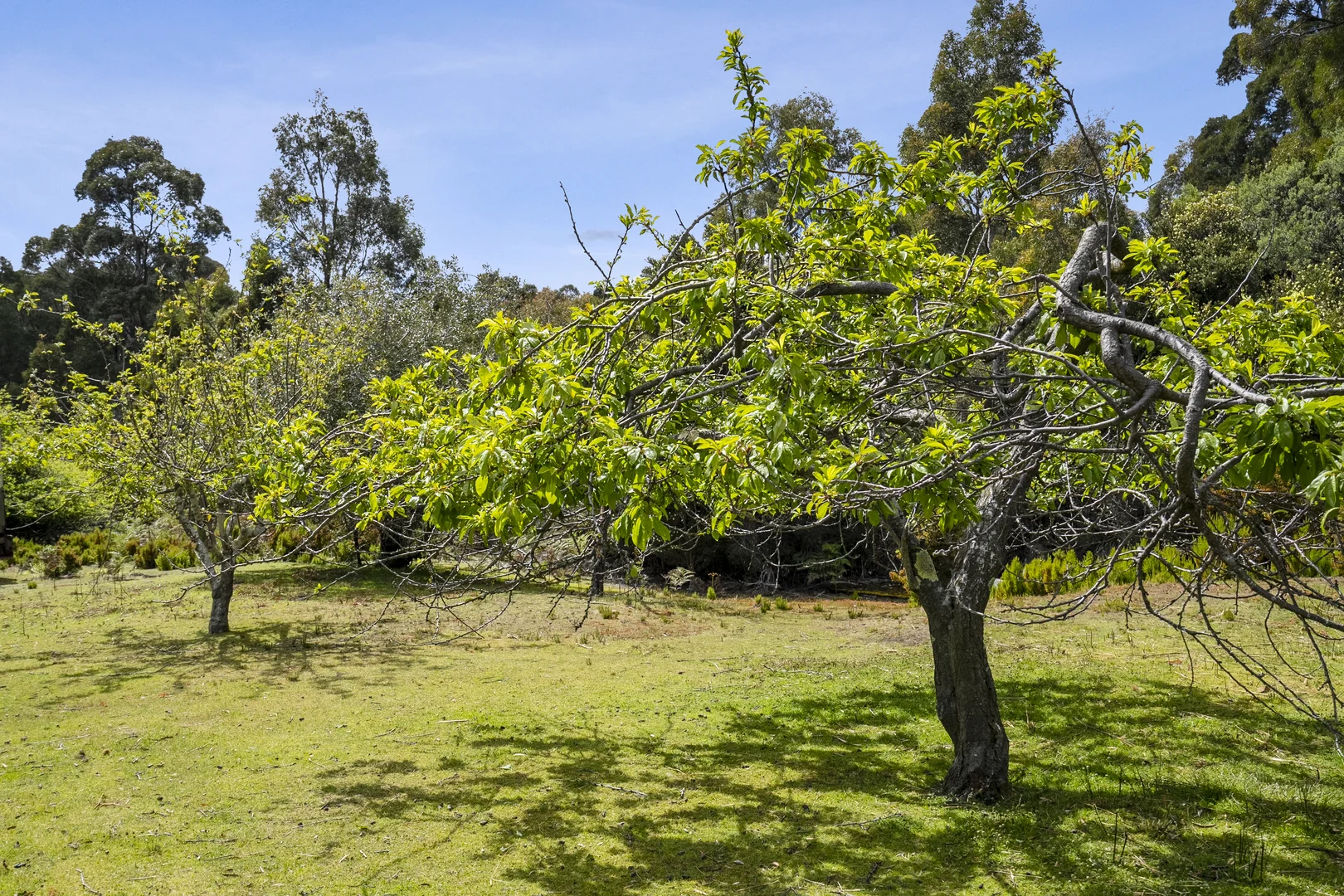 Additional image 25 of 4 Radnors Road, Port Arthur TAS 7182