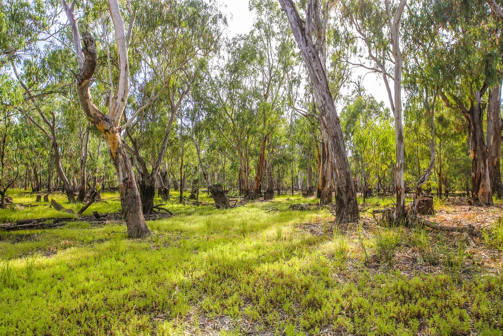 Additional image 4 of Lot 19, 20, 23 & 24 - 650 Yarraman Road, Moama NSW 2731
