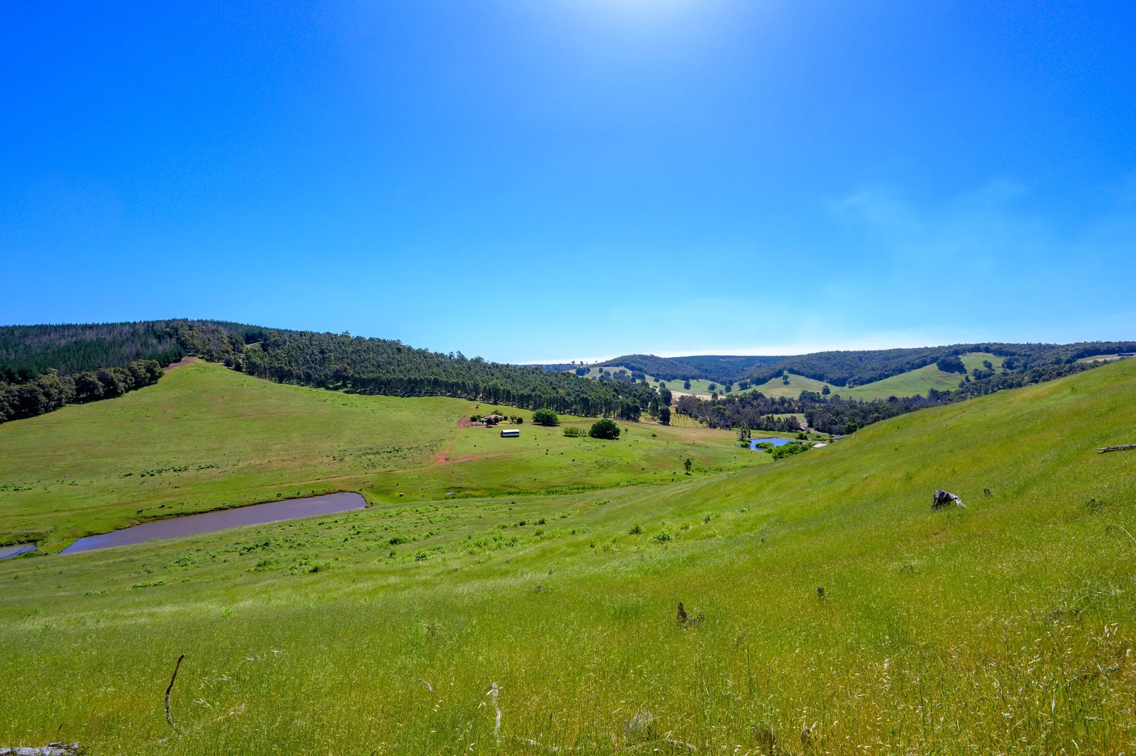 Additional image 8 of 305 & Lot 8138 Balingup-Nannup Road, Balingup WA 6253