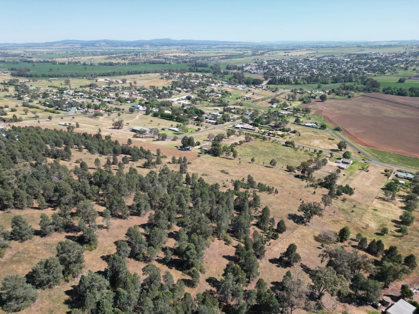 Additional image 4 of 2537 George Russell Drive, Canowindra NSW 2804
