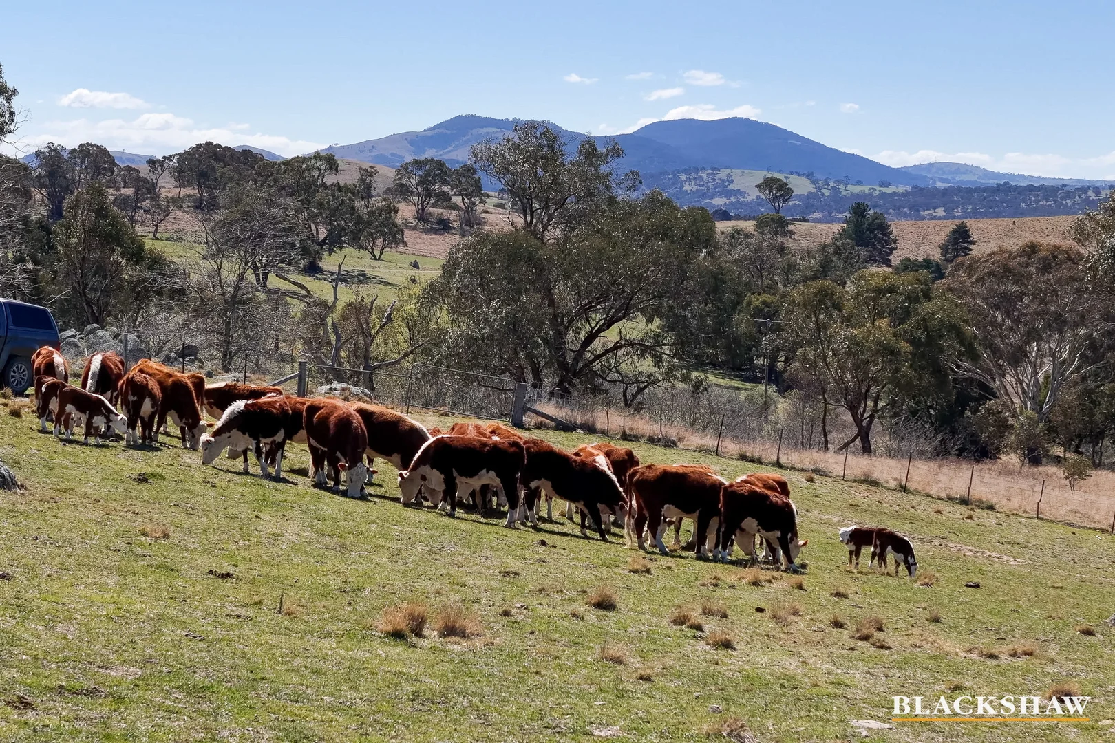 Additional image 22 of 1244 Smiths Road, The Angle NSW 2620