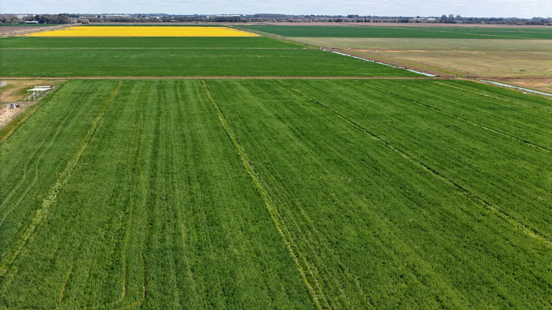 Additional image 23 of Farm 2526/408 Cashmere Road, Widgelli NSW 2680