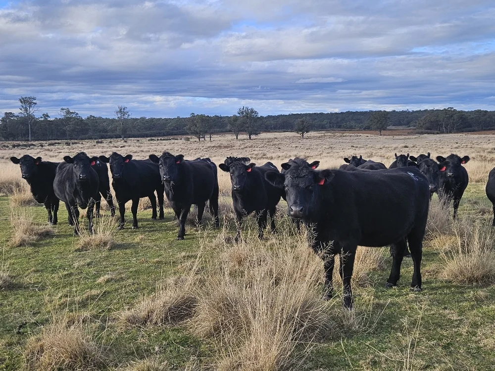 Additional image 6 of 710-712 Sinclairs RD, Munro VIC 3862