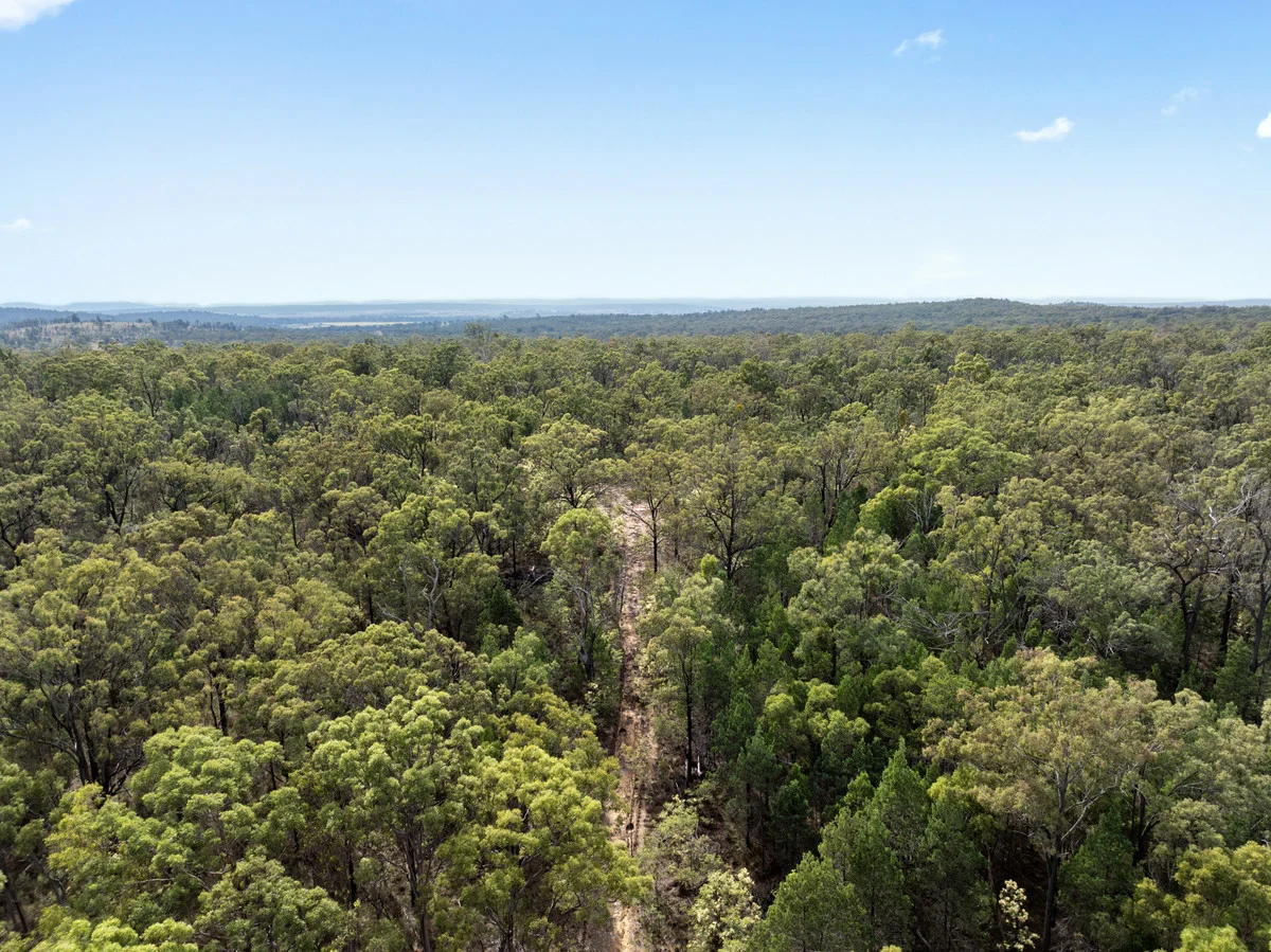 Additional image 5 of 1376 Leyburn-Cunningham Road, Leyburn QLD 4365