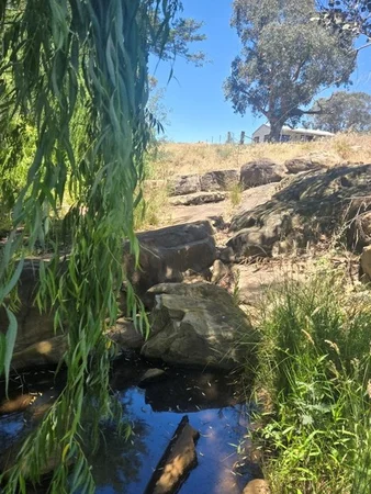 Additional image 17 of "Abercorn", 2154 Kangarooby Road, Gooloogong NSW 2805