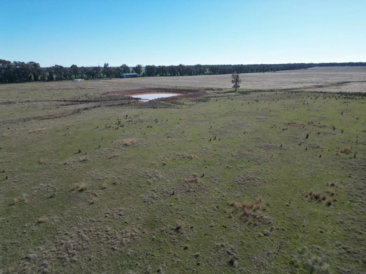 Additional image 8 of 977 Schmidts Road, Temora NSW 2666