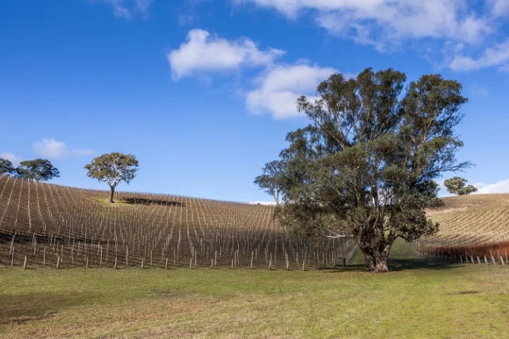 Additional image 7 of 15 Kenton Hill Road, Gumeracha SA 5233