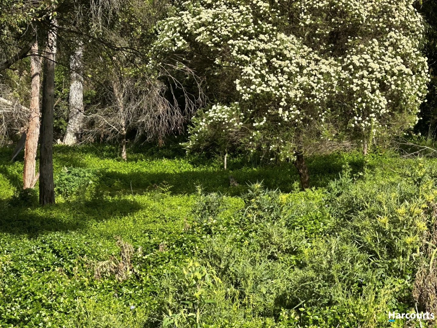 Additional image 6 of 29 John Street, Cornwall TAS 7215